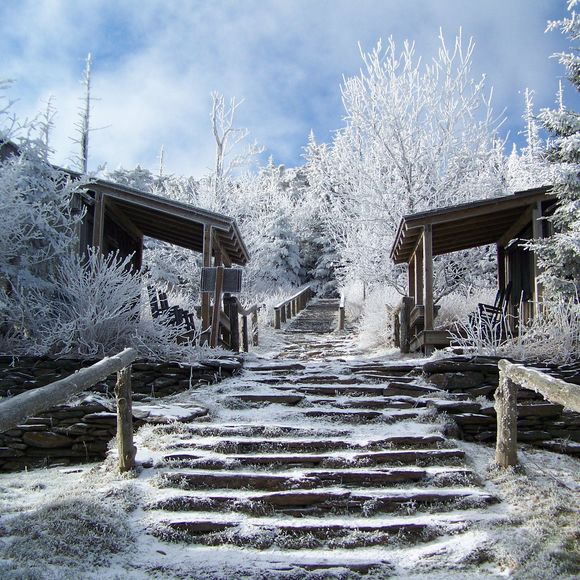 Meet your Posher, Monique - Picture 1 of 1